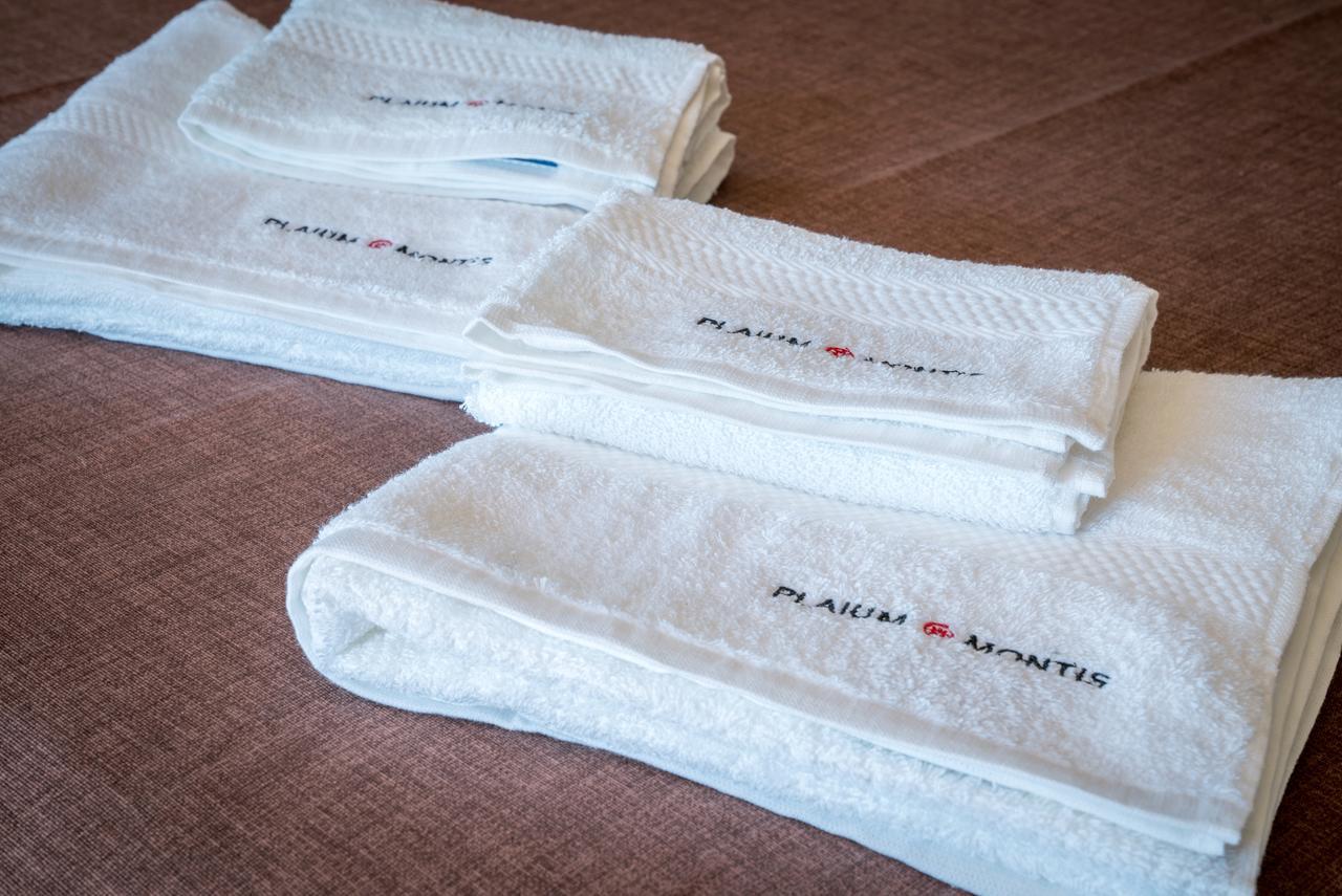 مبيت وإفطار ساليرنو Plaium Montis المظهر الخارجي الصورة