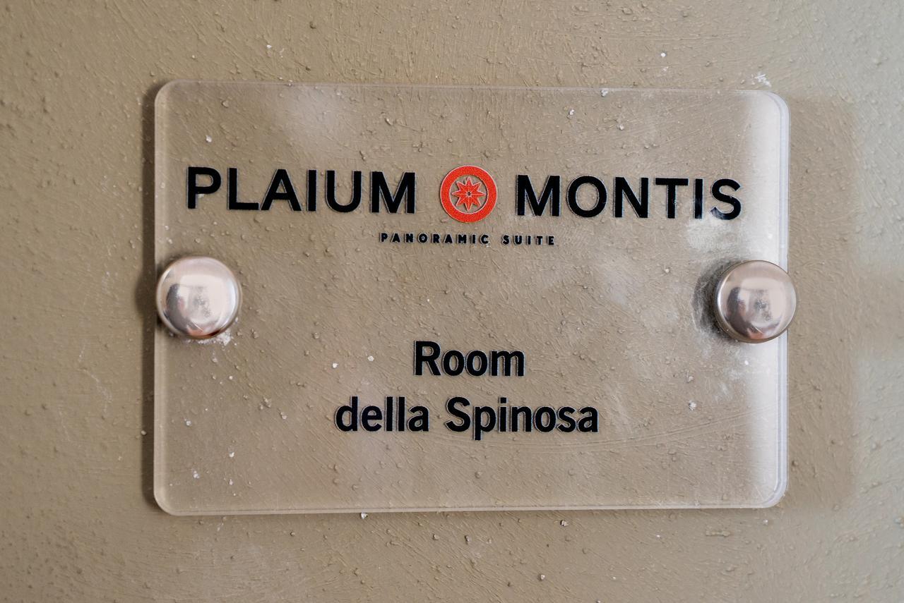 مبيت وإفطار ساليرنو Plaium Montis المظهر الخارجي الصورة